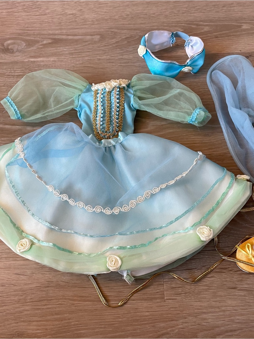 A Girl For All Time Amelia Ballet Costume
